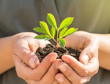 Energy-Saving Appliance Tips to Help the Planet This June