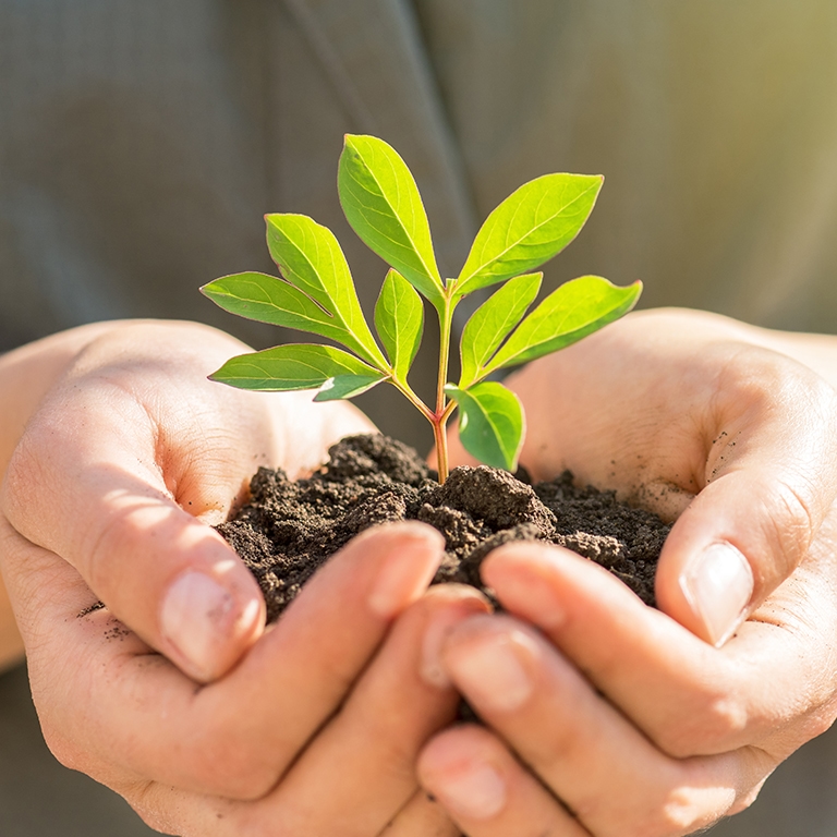 Energy-Saving Appliance Tips to Help the Planet This June
